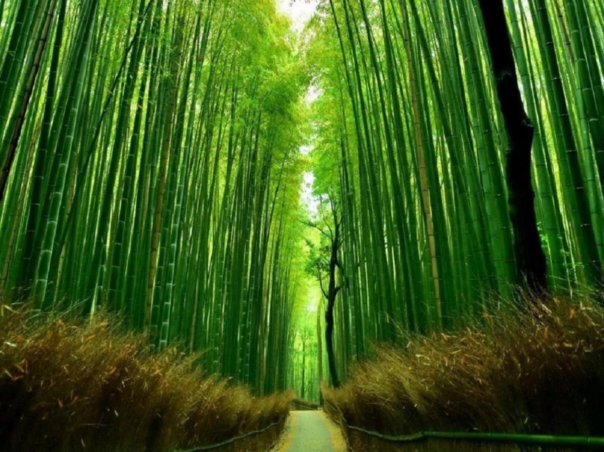 Kamo River J~House Kyoto Bagian luar foto